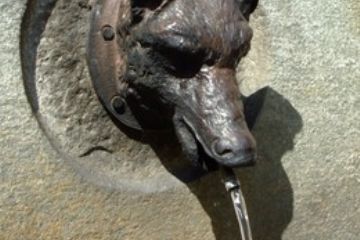 Particolare Fontanella